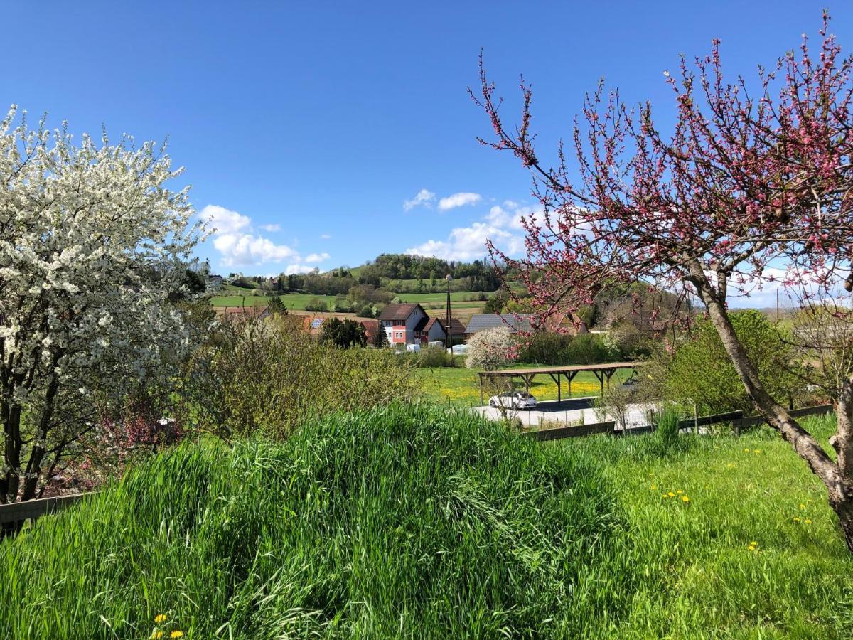 Ferienwohnungen Und Appartements Im Idyllischen Vierkanthof, Gruppenurlaube Fürstenfeld Buitenkant foto