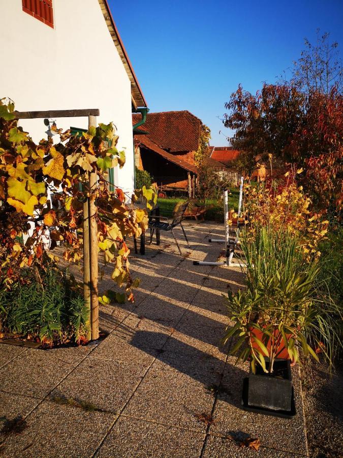 Ferienwohnungen Und Appartements Im Idyllischen Vierkanthof, Gruppenurlaube Fürstenfeld Buitenkant foto